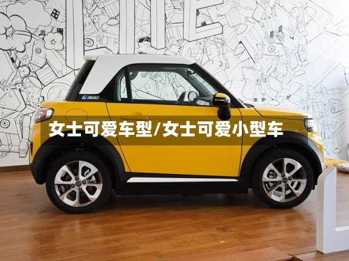 女士可爱车型/女士可爱小型车-第2张图片