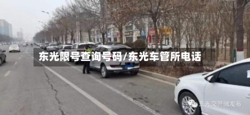 东光限号查询号码/东光车管所电话