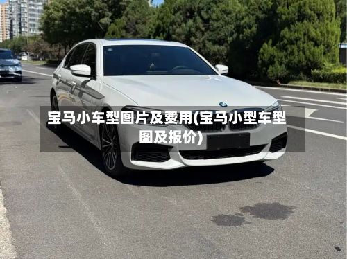 宝马小车型图片及费用(宝马小型车型图及报价)