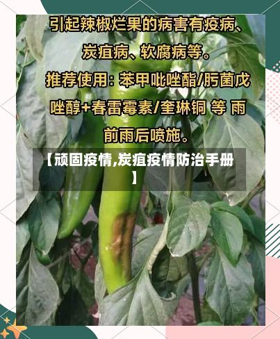 【顽固疫情,炭疽疫情防治手册】-第2张图片