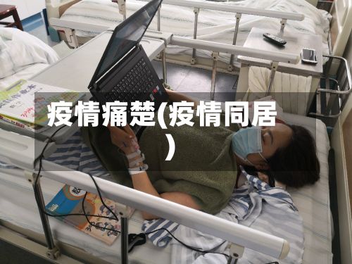 疫情痛楚(疫情同居)-第2张图片