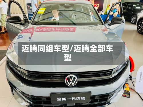 迈腾同组车型/迈腾全部车型-第2张图片