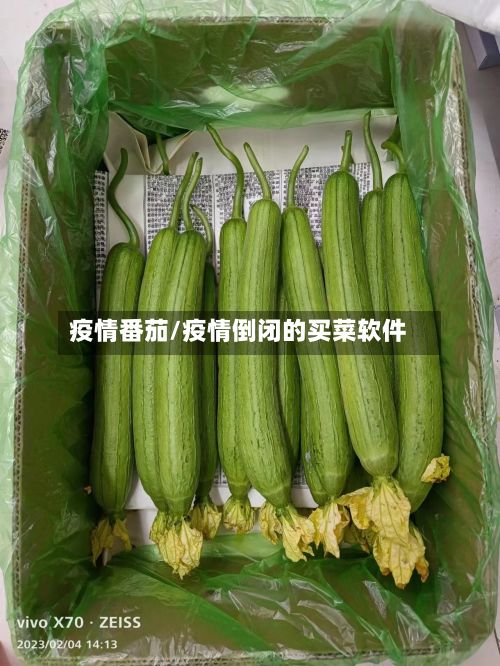 疫情番茄/疫情倒闭的买菜软件