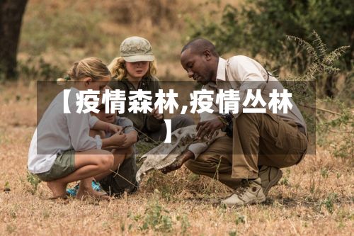 【疫情森林,疫情丛林】