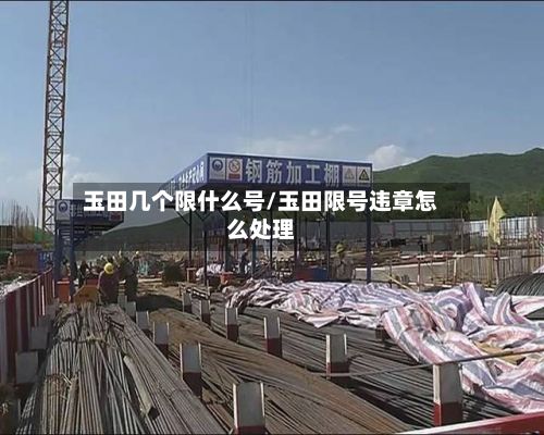 玉田几个限什么号/玉田限号违章怎么处理