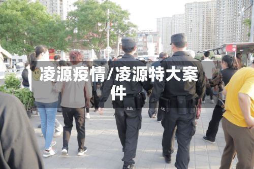 凌源疫情/凌源特大案件