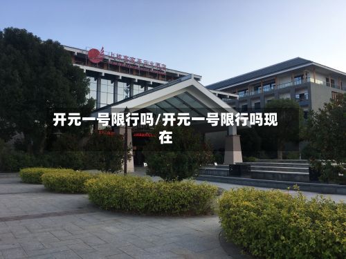 开元一号限行吗/开元一号限行吗现在-第2张图片