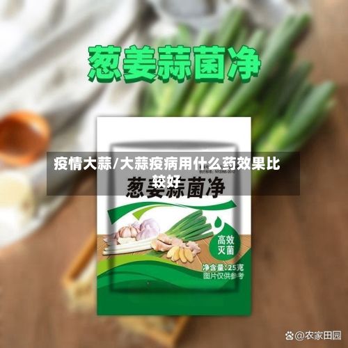 疫情大蒜/大蒜疫病用什么药效果比较好