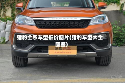 猎豹全系车型报价图片(猎豹车型大全图鉴)