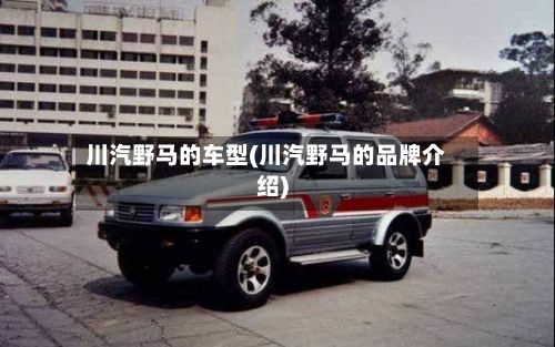 川汽野马的车型(川汽野马的品牌介绍)-第3张图片