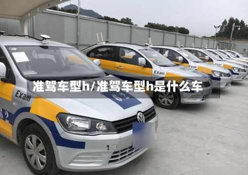 准驾车型h/准驾车型h是什么车-第2张图片