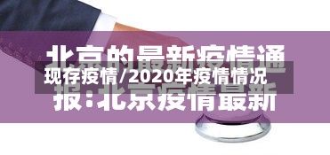 现存疫情/2020年疫情情况