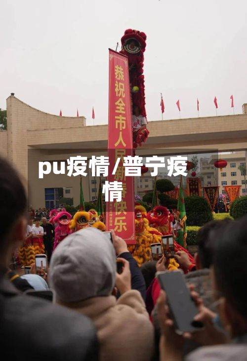 pu疫情/普宁疫情