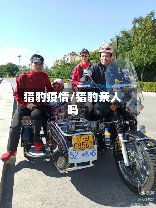 猎豹疫情/猎豹亲人吗