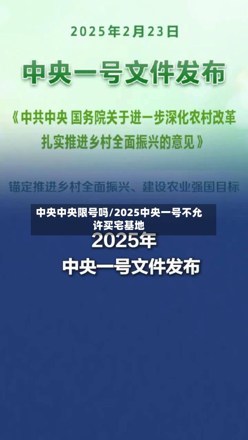 中央中央限号吗/2025中央一号不允许买宅基地