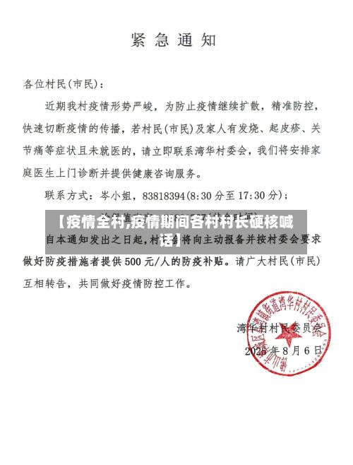 【疫情全村,疫情期间各村村长硬核喊话】-第2张图片