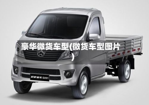 豪华微货车型(微货车型图片)