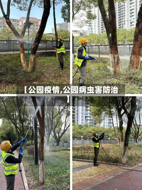 【公园疫情,公园病虫害防治】