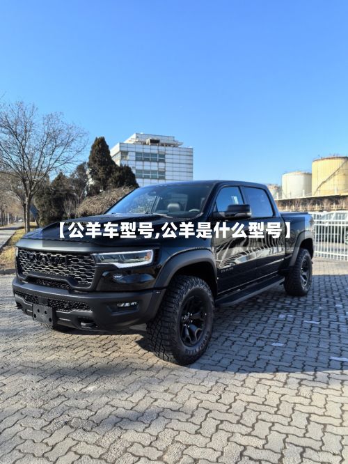 【公羊车型号,公羊是什么型号】-第2张图片