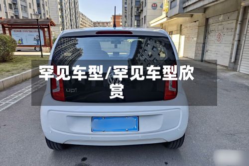 罕见车型/罕见车型欣赏-第2张图片