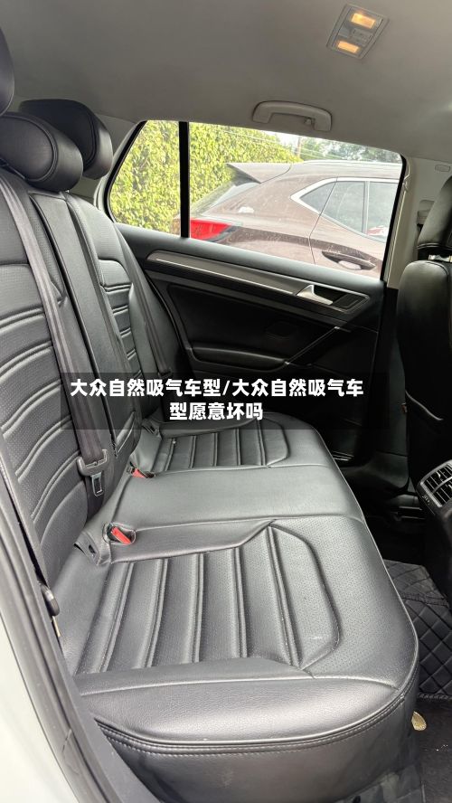 大众自然吸气车型/大众自然吸气车型愿意坏吗