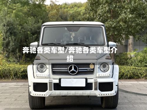奔驰各类车型/奔驰各类车型介绍