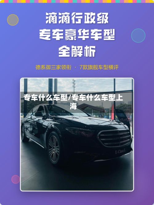 专车什么车型/专车什么车型上海-第2张图片