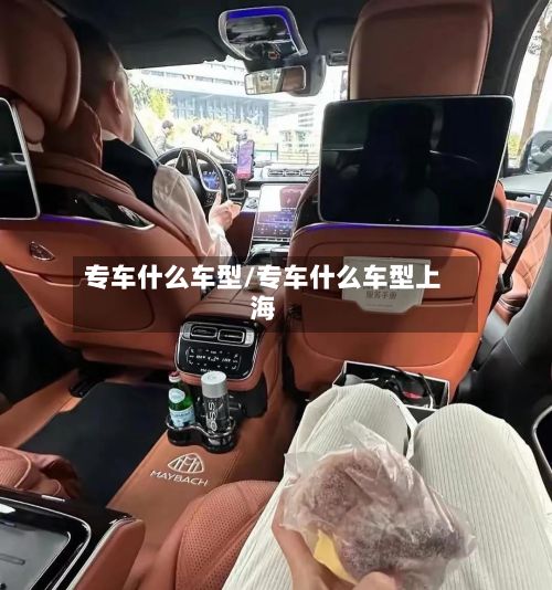 专车什么车型/专车什么车型上海-第3张图片