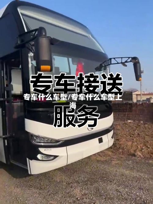 专车什么车型/专车什么车型上海