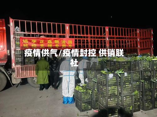 疫情供气/疫情封控 供销联社-第2张图片
