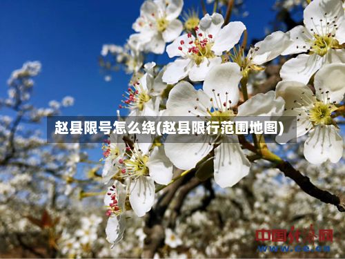 赵县限号怎么绕(赵县限行范围地图)-第2张图片