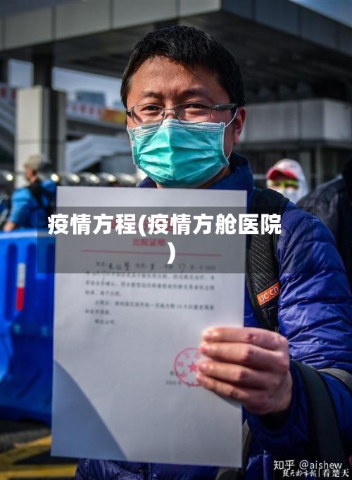 疫情方程(疫情方舱医院)